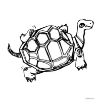 Easy turtle coloring page