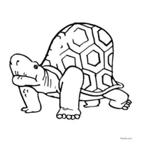 Old turtle coloring page