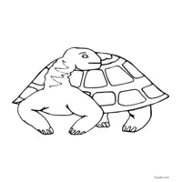 Funny turtle coloring page