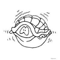 Shy turtle coloring page