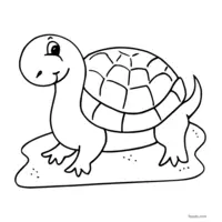 Cute turtle drawing