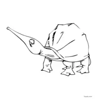 Pointy-nosed turtle coloring page