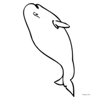 Easy-to-color whale