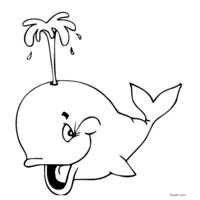 Smiling whale