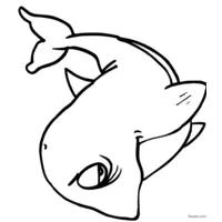 Half-asleep whale