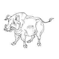 Printable wild boar coloring page 1