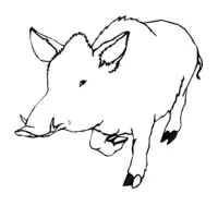 Printable wild boar coloring page 10