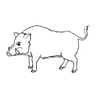 Printable wild boar coloring page 11