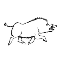 Printable wild boar coloring page 12