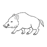 Printable wild boar coloring page 13