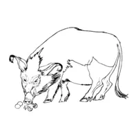 Printable wild boar coloring page 17