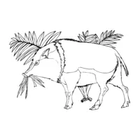 Printable wild boar coloring page 19