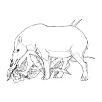 Printable wild boar coloring page 20