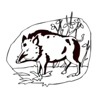 Printable wild boar coloring page 21