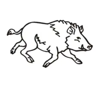 Printable wild boar coloring page 25