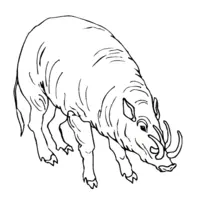 Printable wild boar coloring page 26