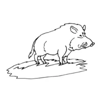 Printable wild boar coloring page 3