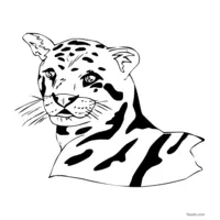 leopard coloring page