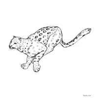 cheetah chasing prey coloring page