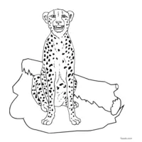 cheetah resting after the hunt coloring page