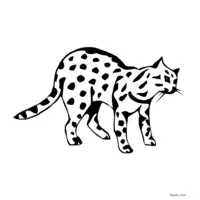 black and white serval coloring page