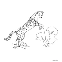 panther leaping on prey coloring page