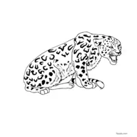 roaring jaguar coloring page