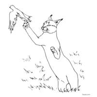 caracal catching a bird coloring page