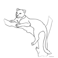 lioness on a tree branch coloring page