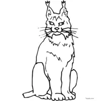 caracal with pointed ears coloring page