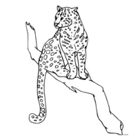 perched panther coloring page